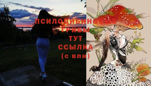 твердый Беломорск